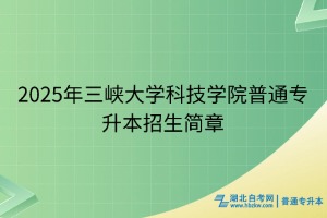 2025年三峽大學(xué)科技學(xué)院普通專升本招生簡章