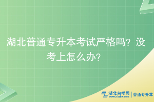 湖北普通專升本考試嚴(yán)格嗎？沒考上怎么辦？