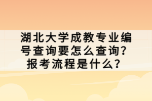 湖北大學(xué)成教專業(yè)編號查詢要怎么查詢？報(bào)考流程是什么？