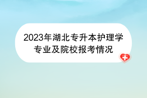 2023年湖北專升本護(hù)理學(xué)專業(yè)及院校報(bào)考情況