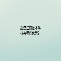 武漢江南技術(shù)學(xué)校有哪些優(yōu)勢？