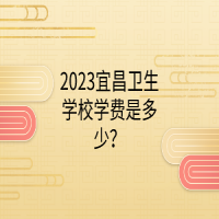 2023宜昌衛(wèi)生學(xué)校學(xué)費是多少？