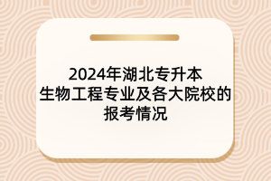 2024年湖北專升本生物工程專業(yè)及各大院校報(bào)考情況