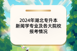 2024年湖北專升本網(wǎng)絡(luò)與新媒體專業(yè)及各大院校報考情況