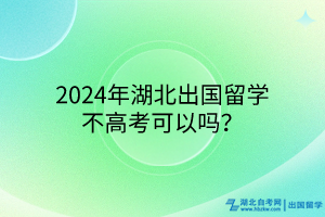 2024年湖北出國留學(xué)不高考可以嗎？