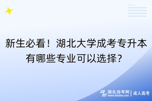 新生必看！湖北大學(xué)成考專升本有哪些專業(yè)可以選擇？