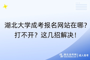 湖北大學(xué)成考報(bào)名網(wǎng)站在哪？打不開(kāi)？這幾招解決！