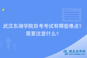 武漢東湖學院自考考試有哪些難點？需要注意什么？