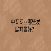 中專專業(yè)哪些發(fā)展前景好？