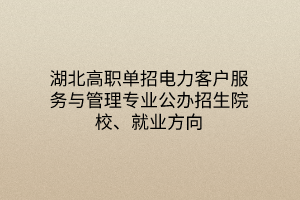 湖北高職單招電力客戶服務(wù)與管理專業(yè)公辦招生院校、就業(yè)方向