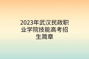 2023年武漢民政職業(yè)學院技能高考招生簡章