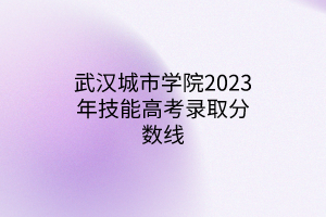 武漢城市學院2023年技能高考錄取分數(shù)線