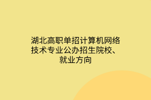 湖北高職單招計算機(jī)網(wǎng)絡(luò)技術(shù)專業(yè)公辦招生院校、就業(yè)方向