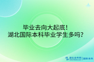 畢業(yè)去向大起底！湖北國(guó)際本科畢業(yè)學(xué)生多嗎？