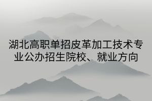 湖北高職單招皮革加工技術(shù)專業(yè)公辦招生院校、就業(yè)方向