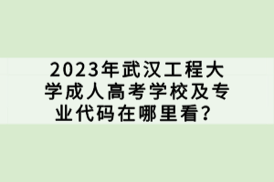 2023年武漢工程大學(xué)成人高考學(xué)校及專業(yè)代碼在哪里看？