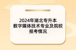 2024年湖北專升本數(shù)字媒體技術(shù)專業(yè)及院校報(bào)考情況