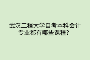 武漢工程大學(xué)自考本科會(huì)計(jì)專業(yè)都有哪些課程？