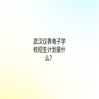 武漢儀表電子學(xué)校招生計劃是什么？