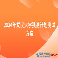 2024年武漢大學(xué)強(qiáng)基計(jì)劃測(cè)試方案