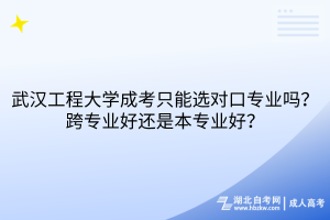 武漢工程大學(xué)成考只能選對口專業(yè)嗎？跨專業(yè)好還是本專業(yè)好？