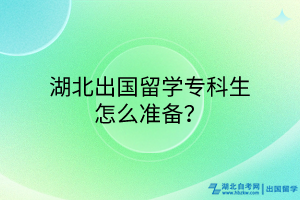 湖北出國留學(xué)?？粕趺礈?zhǔn)備？