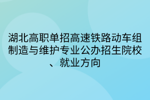 湖北高職單招高速鐵路動車組制造與維護專業(yè)公辦招生院校、就業(yè)方向