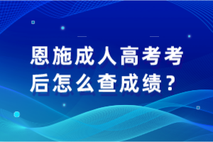 恩施成人高考考后怎么查成績(jī)？