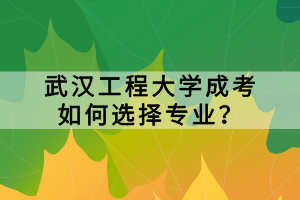 武漢工程大學(xué)成考如何選擇專業(yè)？