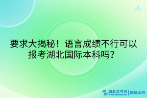 要求大揭秘！語言成績不行可以報考湖北國際本科嗎？