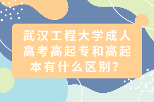 武漢工程大學(xué)成人高考高起專和高起本有什么區(qū)別？