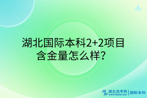 湖北國際本科2+2項目含金量咋樣？