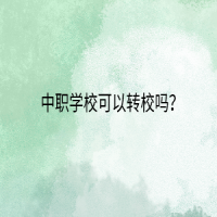 中職學(xué)?？梢赞D(zhuǎn)校嗎？