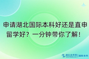 申請(qǐng)湖北國(guó)際本科好還是直申留學(xué)好？一分鐘帶你了解！