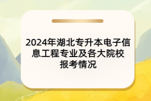 2024年湖北專升本電子信息工程專業(yè)及各大院校報(bào)考情況