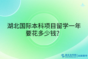 湖北國際本科項(xiàng)目留學(xué)一年要花多少錢？