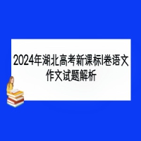 2024年湖北高考新課標(biāo)I卷語文作文試題解析