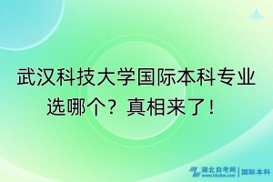 武漢科技大學(xué)國(guó)際本科專業(yè)選哪個(gè)？真相來(lái)了！