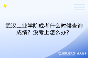 武漢工業(yè)學(xué)院成考什么時(shí)候查詢成績？沒考上怎么辦？