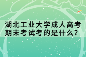 湖北工業(yè)大學(xué)成人高考期末考試考的是什么？