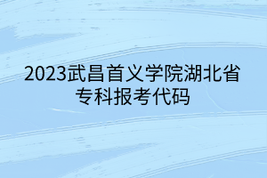 2023武昌首義學院湖北省專科報考代碼