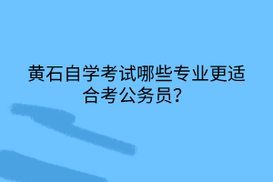 黃石自學(xué)考試哪些專業(yè)更適合考公務(wù)員？