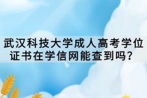 武漢科技大學(xué)成人高考學(xué)位證書在學(xué)信網(wǎng)能查到嗎？