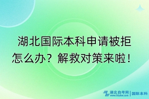 湖北國(guó)際本科申請(qǐng)被拒怎么辦？解救對(duì)策來(lái)啦！