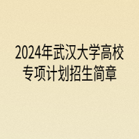 2024年武漢大學(xué)高校專(zhuān)項(xiàng)計(jì)劃招生簡(jiǎn)章