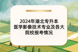 2024年湖北專升本醫(yī)學(xué)影像技術(shù)專業(yè)及院校報考情況