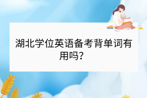 湖北學(xué)位英語備考背單詞有用嗎？