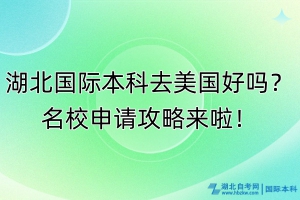 湖北國際本科去美國好嗎？名校申請攻略來啦！