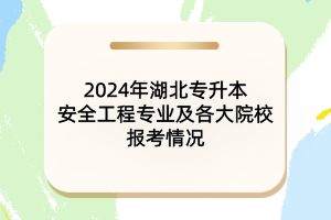 2024年湖北專升本安全工程專業(yè)及各大院校報考情況