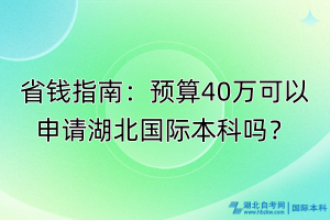 省錢指南：預(yù)算40萬可以申請湖北國際本科嗎？